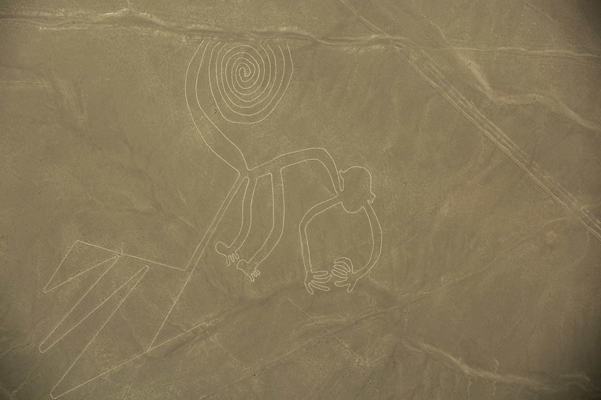 Geoglif "Małpa" w Nazca, Peru.